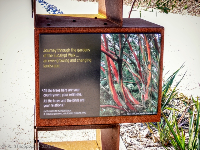 Βασιλικοί Βοτανικοί Κήποι Cranbourne, Victoria, Αυστραλία (Royal Botanic Gardens, Cranbourne, Victoria, Australia).